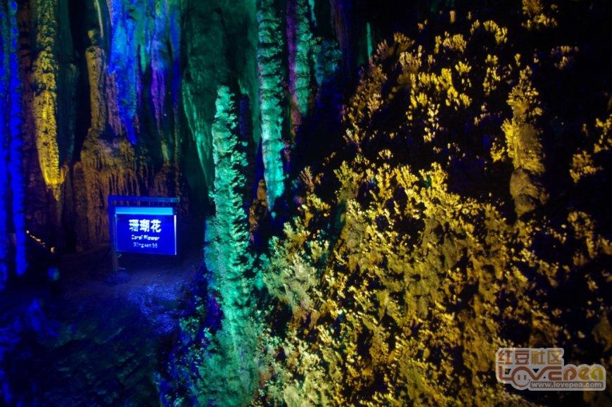 意想不到的旅程