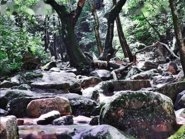 放逐之城
